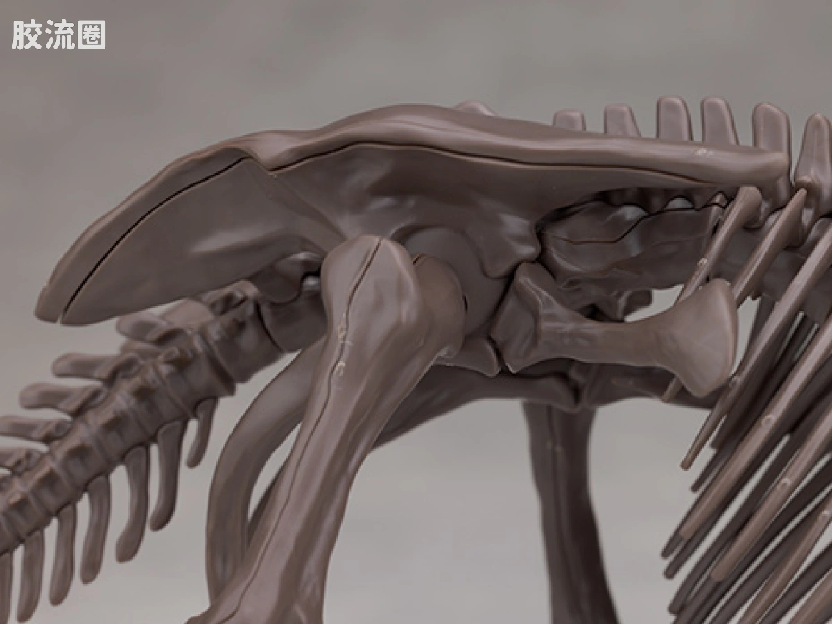 万代综合拼装模型系列 Imaginary Skeleton系列 三角龙 - 图片